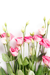 Sticker - bunch of pink eustoma flowers