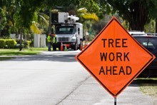 Tree Work Ahead Sign Orange Information Sign With Black Letters Displayed In Front Of Tree Maintenance Workers And Truck. Truck And Workers Intentionally Blurred In Background