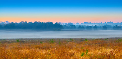 Wall Mural - Foggy Kentucky Field