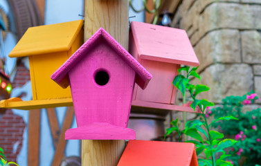 Wall Mural - Multicolored nesting boxes closeup outdoor background