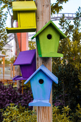 Wall Mural - Multicolored nesting boxes closeup outdoor background