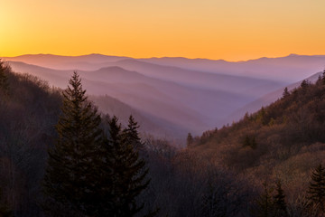 Misty Mountain Morning