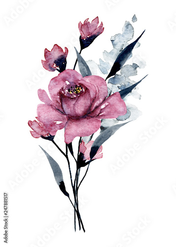 Watercolor pink flower, botanical hand painting, isolated on white background.