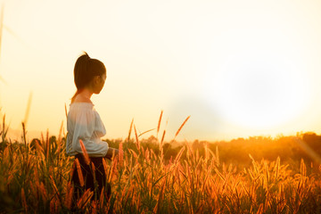 Wall Mural - Beautiful Young Woman in a field.