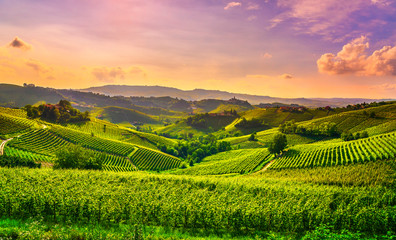 Langhe vineyards view, Castiglione Falletto and La Morra, Piedmont, Italy Europe.