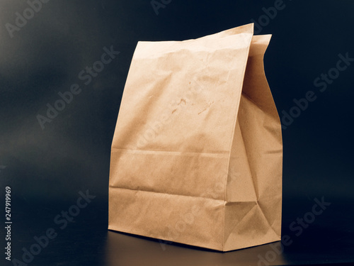 Cuadros en Lienzo paper bag packaging for food. fast food with you.