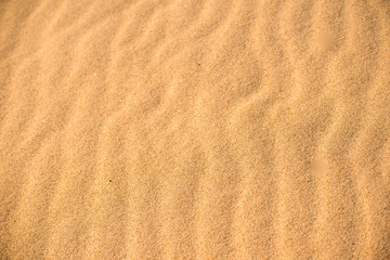  Sand of a beach with line pattern
