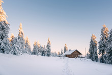 Hütte Im Verschneiten Wald Bei Sonnenaufgang