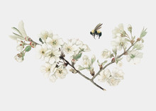 Apple Blossom Illustration on An X'mas Card