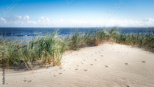 Obrazy morze Bałtyckie  jezioro-trawy-morskiej-wydm