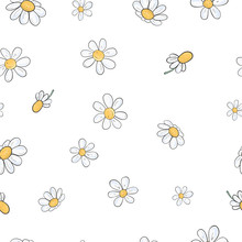 Seamless Floral Pattern With Chamomile Flowers. Vector Illustration On White Background In Sketch Style.