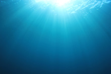 Underwater Blue Background In Sea	