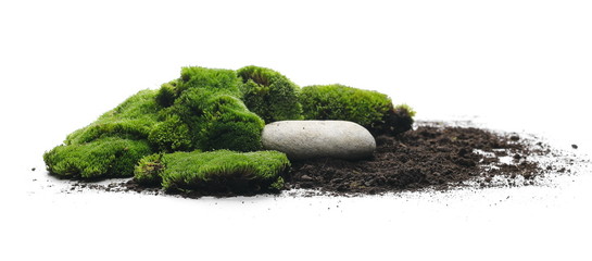 green moss with dirt, soil and decorative stone, rock isolated on white background