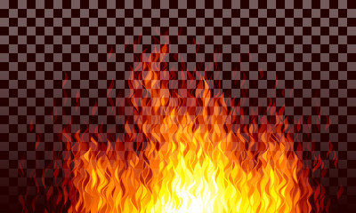 Wall Mural - realistic transparent vector fire flames on black background