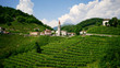 © REDB4 - View of the green Prosecco wine hill and blue sky in background - Rolle - Cison di Valmarino - Strada del Prosecco - Chiesa dei Santi Giacomo e Filippo - Borgo tutelato dal FAI