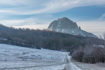 Wall Mural - Sunrise on Boren hill near Bilina town in winter frosty morning with pine tree