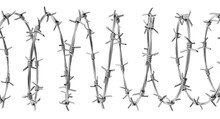 Barbed Wire Spiral Isolated On A White Background. 3d Render