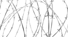 Barbed Wire Fence Isolated On A White Background. 3d Render