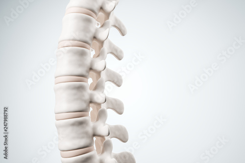 Cuadros en Lienzo Realistic human spine illustration