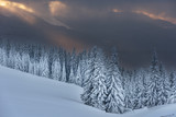 Fototapeta Na ścianę - Winter, active holidays in the Carpathian Mountains with picturesque huts and plenty of snow.