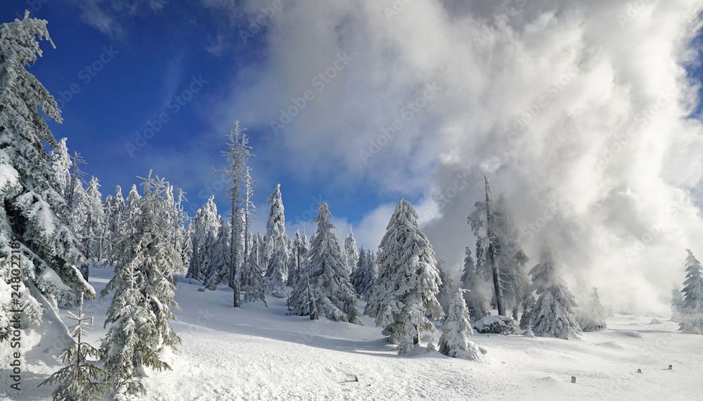 Wall Murals Traumhaft Schone Winterlandschaft Nikkel Art