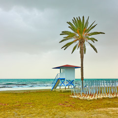 Wall Mural - Beach with palm tree and life guard tower