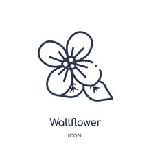 Wallflower Icon From Nature Outline Collection. Thin Line Wallflower Icon Isolated On White Background.