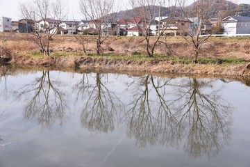 Canvas Print - Scenery reflected on the surface of the river