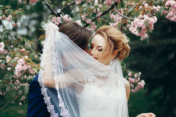 Wall Mural - stylish bride and groom embracing and kissing under veil in park among magnolia flowers. passionate luxury wedding couple hugging. romantic sensual moment.