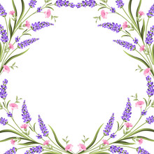 Elegant Card With Lavender Flowers In Watercolor Paint Style. The Lavender Frame And Text. Lavender Border For Your Text Presentation. Vector Illustration.