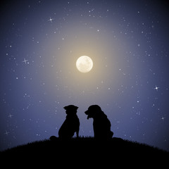 Poster - Dog friends on moonlit night. Vector illustration with silhouettes of two animals sitting on hill in park. Full moon in starry sky