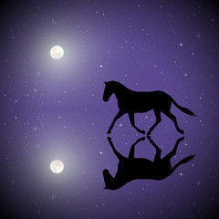 Poster - Running horse on moonlit night. Vector illustration with silhouette of beautiful animal reflected in water in park. Full moon in starry sky