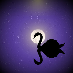 Poster - swan on lake on moonlit night. vector illustration with silhouette of beautiful bird reflected in wa