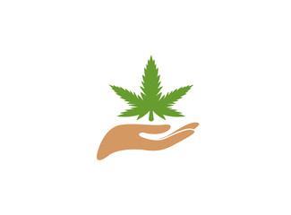 Wall Mural - Hand and marijuana leaves with plant care for logo design