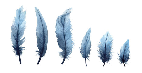 Watercolor illustration set of isolated blue feathers on a white background. Watercolour blue feathers.