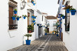 Blue Flowerpots with Flowers in Estepona Andalusia Spain