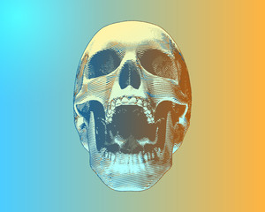 Colorful screaming skull on gradient BG