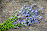 Fototapeta Lawenda - Lavendel auf altem Holz