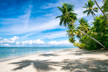 Palm Trees Casting Shadows On A Wide Remote Tropical Brazilian Island Beach In Bahia Nordeste Brazil