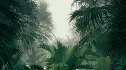 in the jungle palms motion footage for adventure films and cinematic in jungle scene. also good back