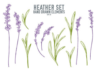 vector collection of hand drawn pastel heather