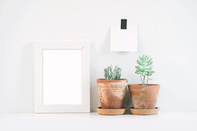 Succulents Or Cactus In Clay Pots Over White Background On The Shelf And Mock Up Frame Photo.