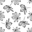 Seamless pattern with black and white buckeye