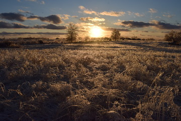 Canvas Print - Winter Sunset