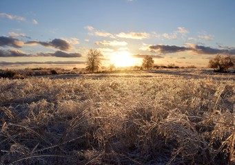 Canvas Print - Winter Sunset