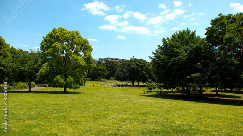 Cuadros en Lienzo KOKUBUNJI, TOKYO, JAPAN - CIRCA JUNE 2018 : Scenery of MUSASHIKOKUBUNJI PARK in hot summer sunny day
