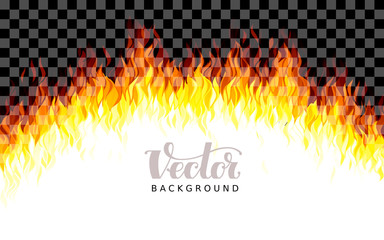 Wall Mural - realistic transparent vector fire flames on transparent background