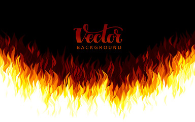 Wall Mural - realistic vector fire flames on black background