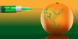 The idea of genetically and chemically engineered food and plants is illustrated with syringes injecting and changing the color of citrus fruit.