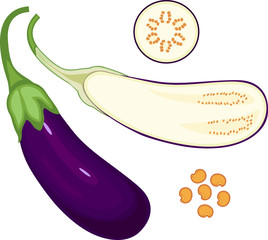 Wall Mural - Ripe purple eggplant. Longitudinal and cross-section